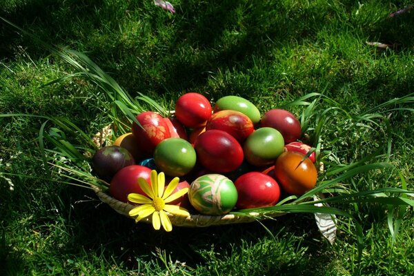 Easter eggs in a basket on the grass