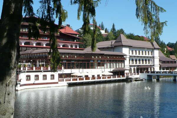 Hotel con lago de los cisnes