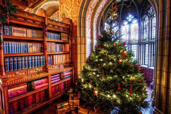 Bellissimo albero di Natale in libreria