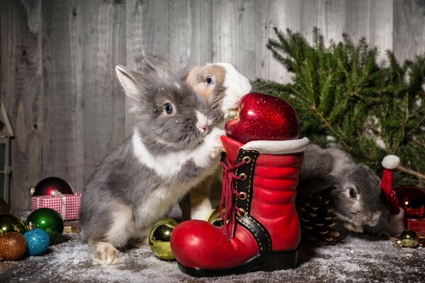 Three rabbits on the background of Christmas tree toys