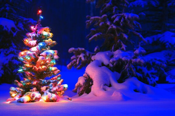 Un albero di Natale decorato con luci si illumina in una foresta invernale innevata