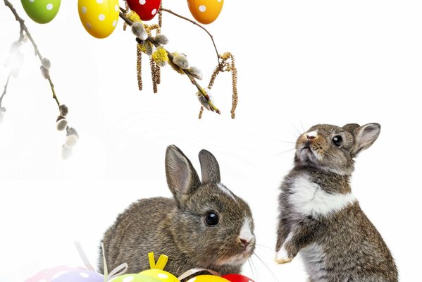 Two cute bunnies with Easter eggs