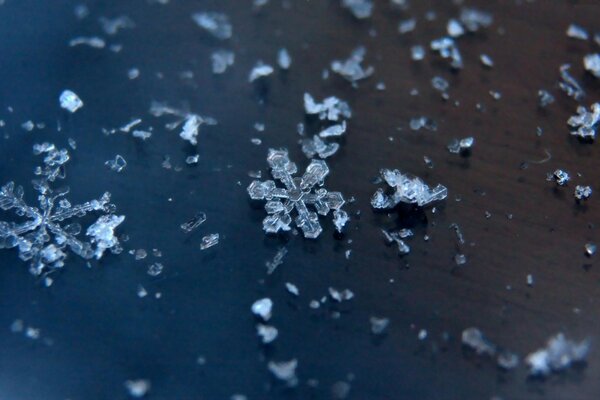 Schöne Schneeflocken auf dunkler Oberfläche