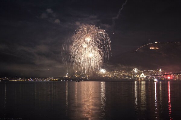 Fuegos artificiales brillando en el cielo nocturno