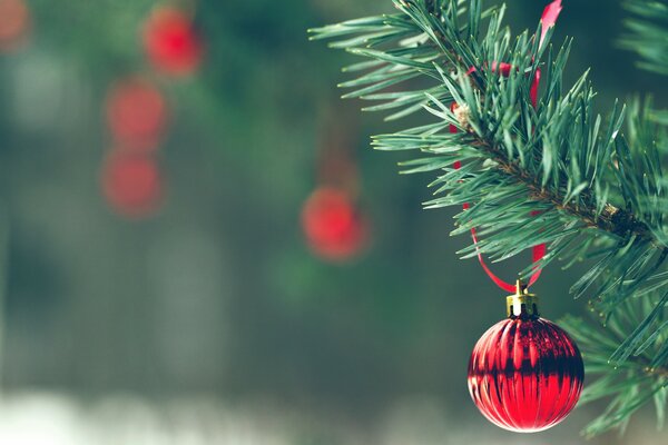 Brillante bola roja colgando en una rama de árbol de Navidad