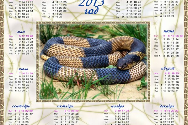 Calendario con il simbolo del serpente di Capodanno