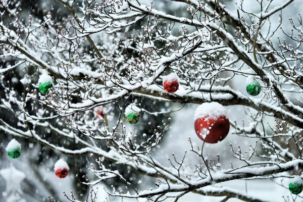 Snow-covered trees in the forest with Christmas balls