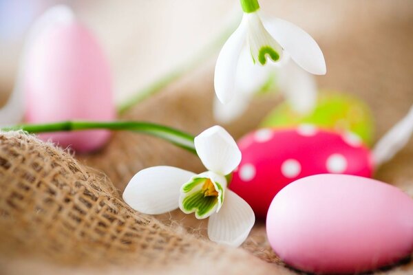 Oeufs de Pâques lumineux et fleurs