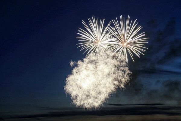 Fuegos artificiales blancos contra el cielo