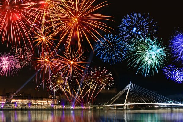 Fuochi d artificio nel cielo notturno