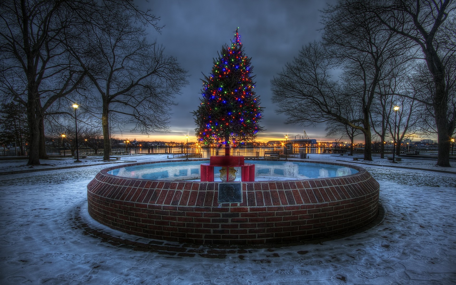 weihnachtsbaum feiertag stadt