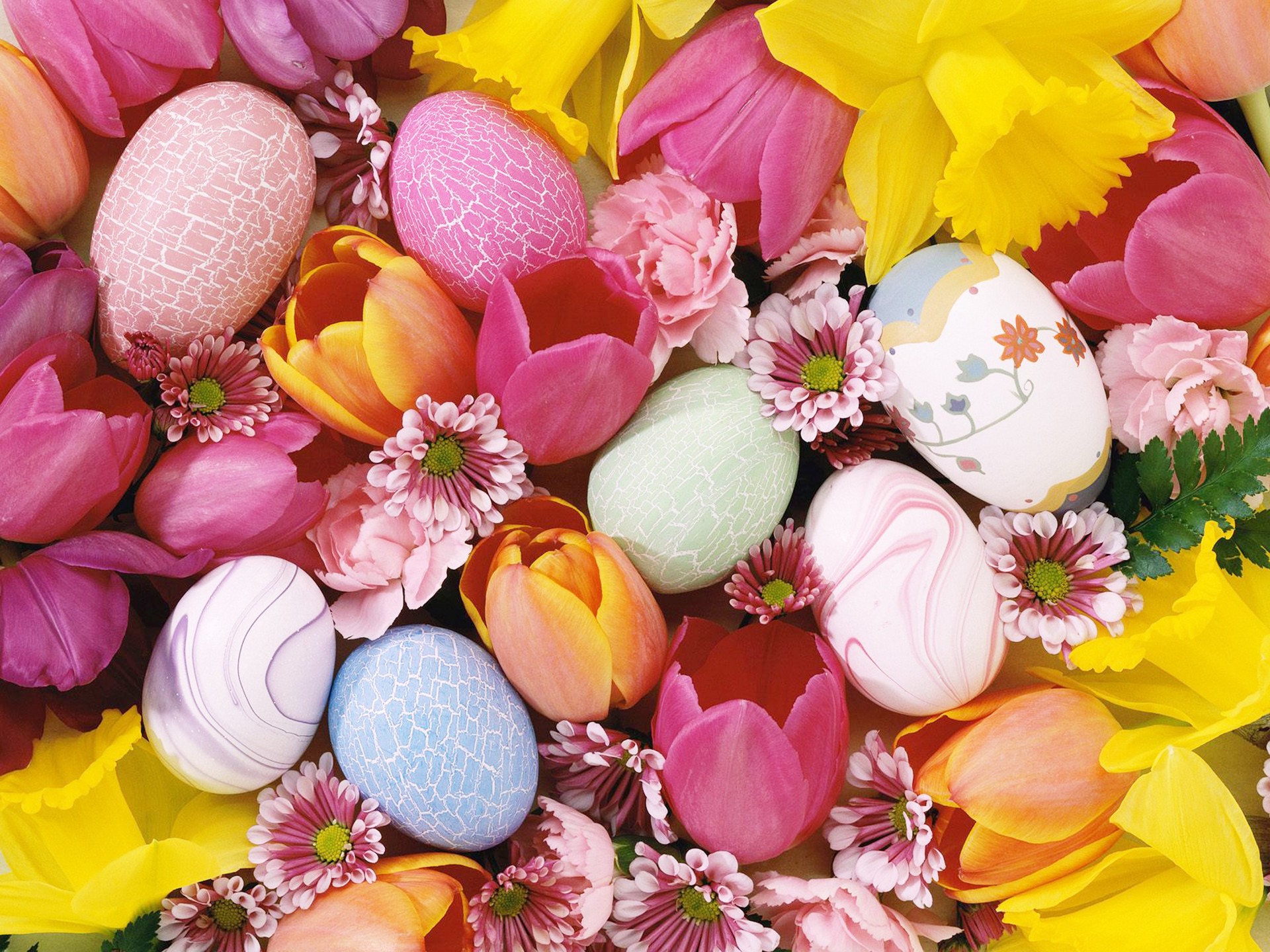 easter bright eggs flower