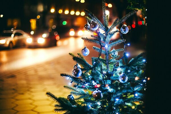 Branche de sapin décoré de Noël sur fond de lumières