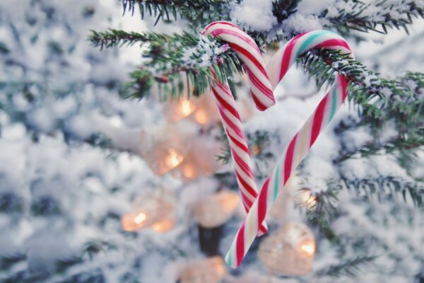 Bastoncini di zucchero a strisce appesi a un albero di Natale a forma di cuore