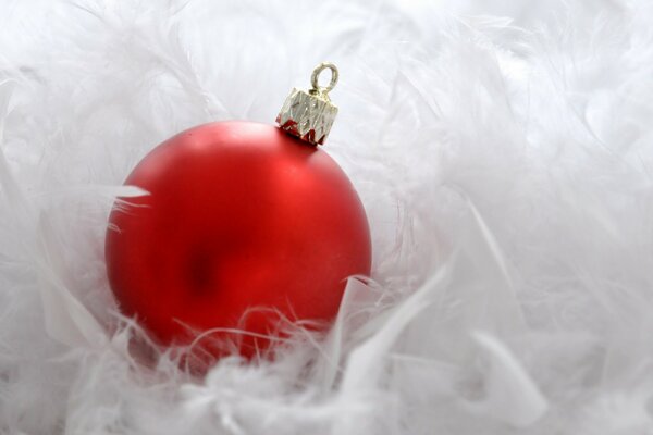 Bola de Navidad roja en pelusa de cisne blanco