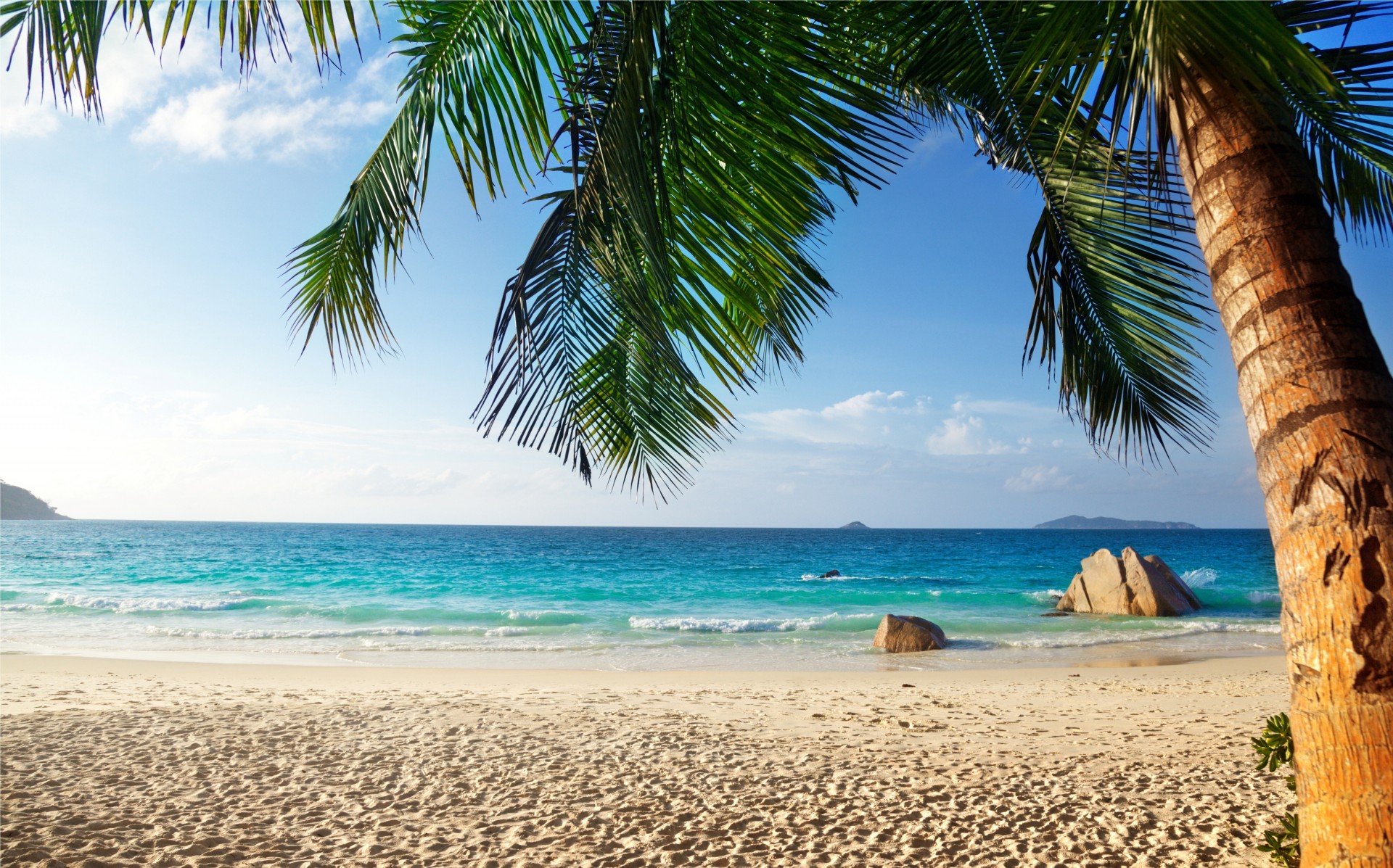 tropical beach nature summer tropics ocean summer palm trees sea australia beautiful