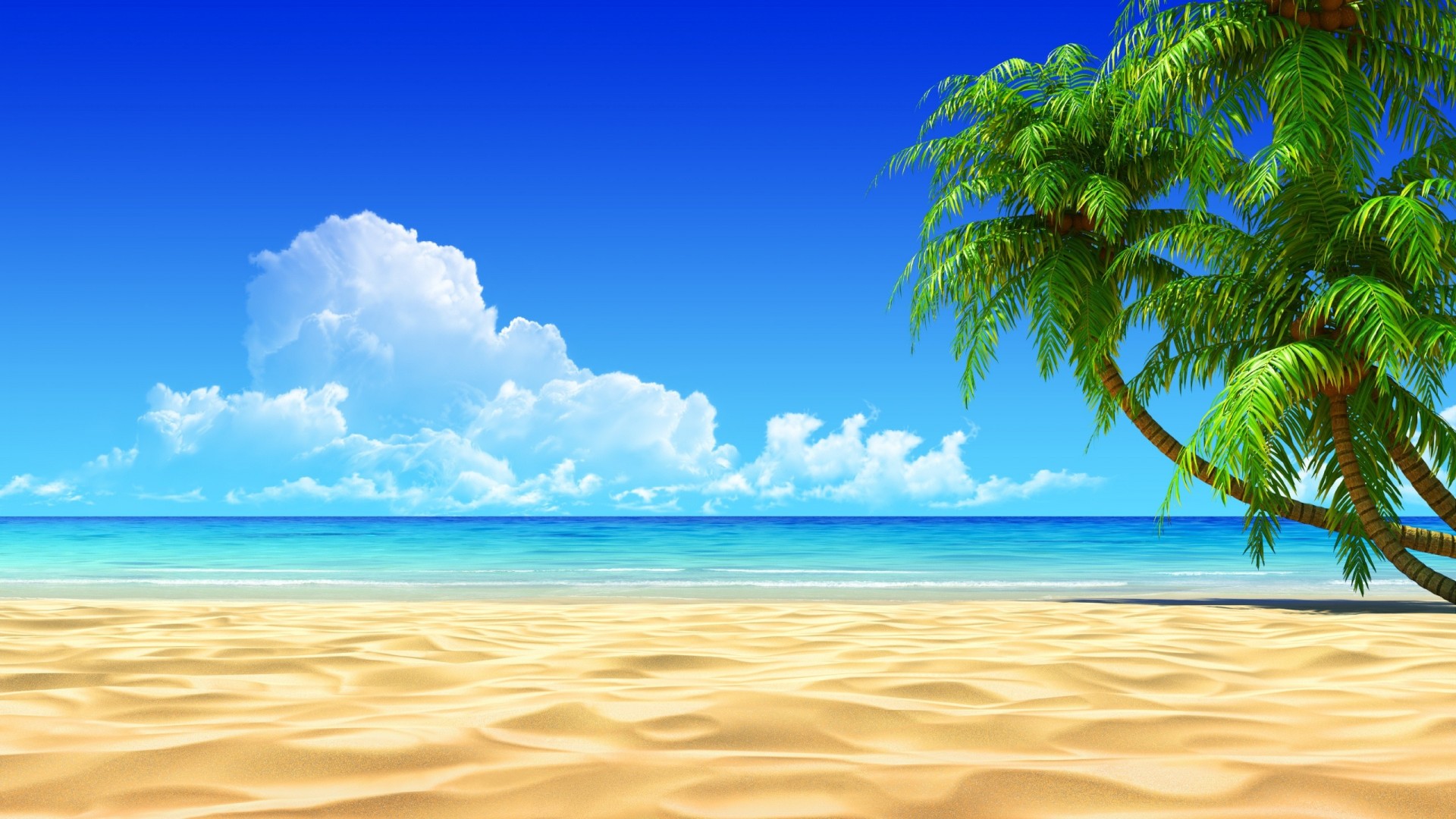 palm clouds tropics ocean summer sky photoshop shadow sand