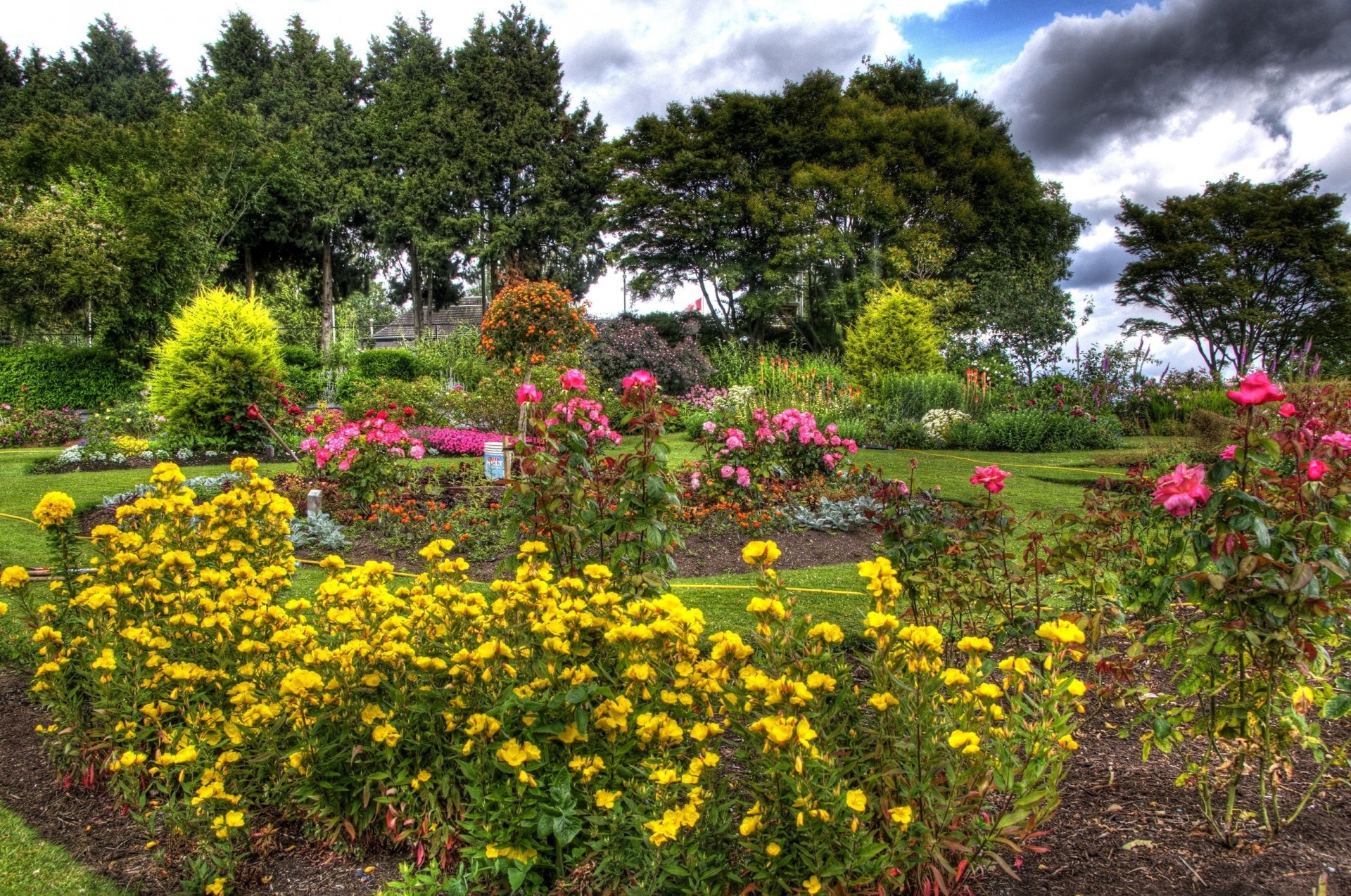 arbres jaune fleurs roses jardin