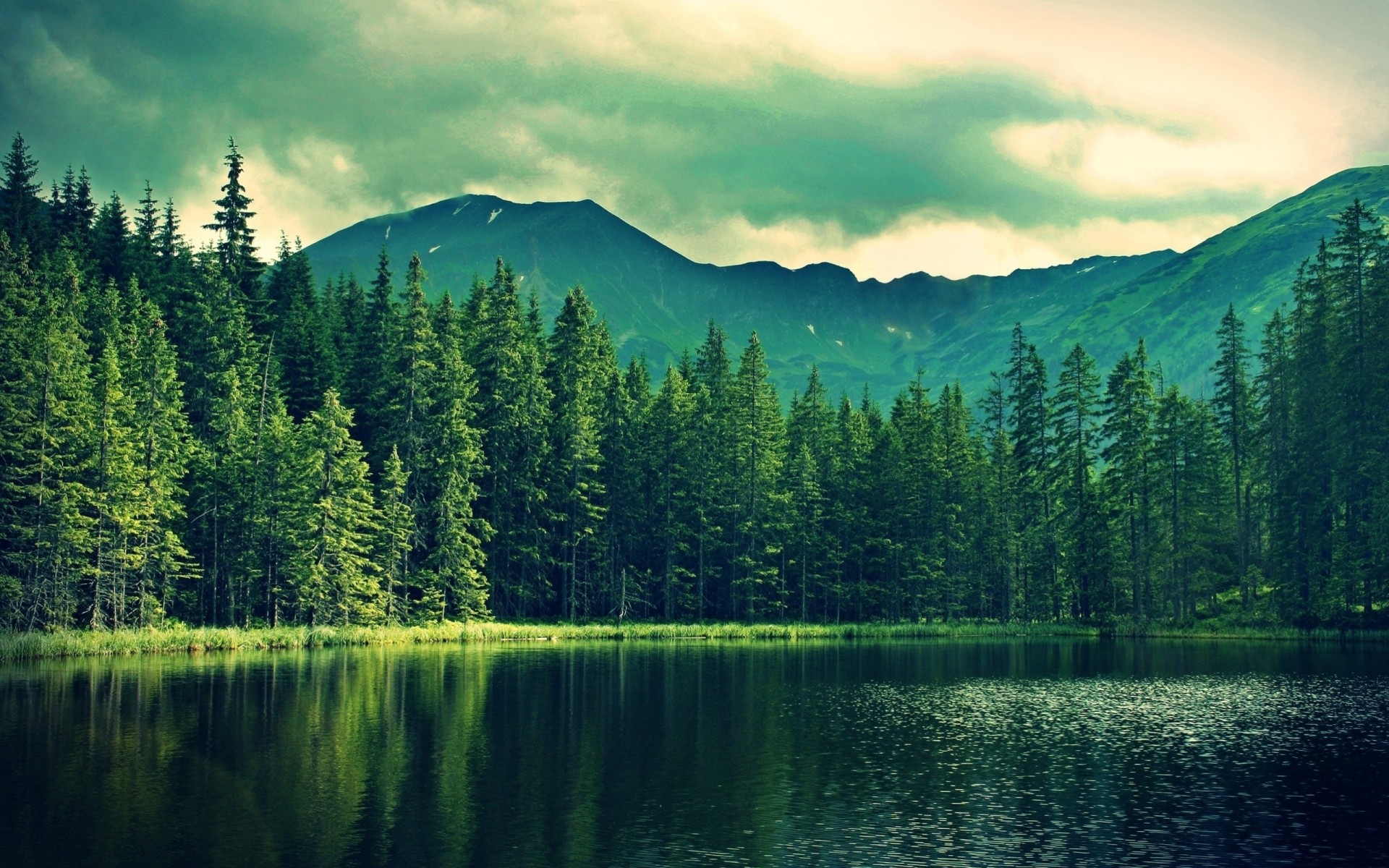 himmel wald natur berge see bäume palmen wasser wald fluss wolken