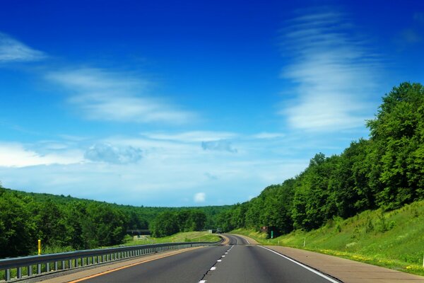 Greenery forest highway and nature