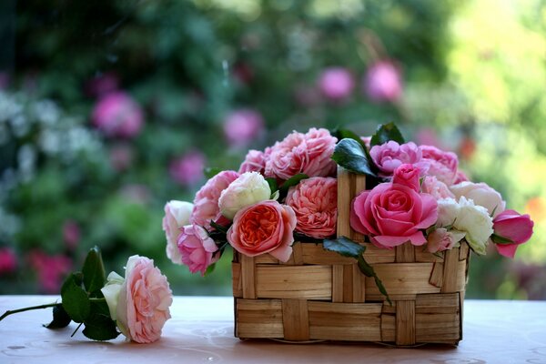 Cesto delicato con boccioli di rosa