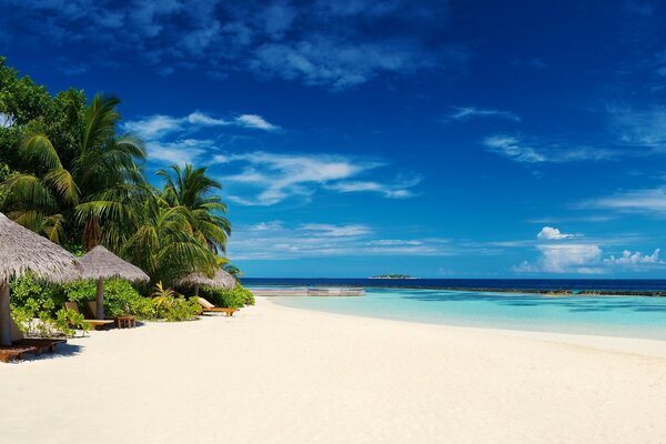 The landscape of a tropical beach in the Maldives with palm trees