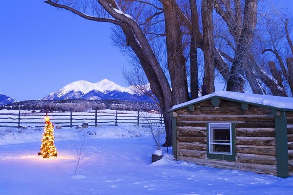 Der Weihnachtsbaum steht am Abend im Hintergrund der Berge im Hof