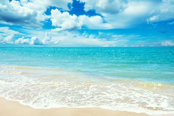 Belle photo de la plage en été