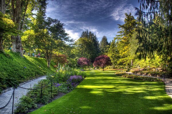 Meraviglioso giardino con prato verde