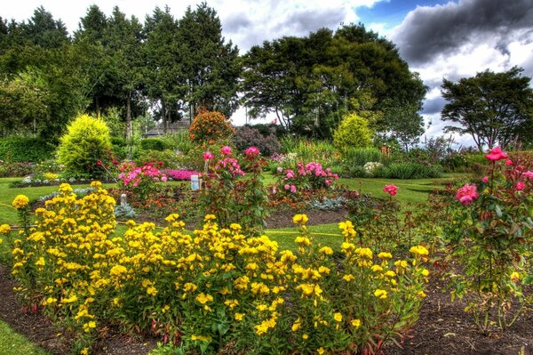 Beau jardin avec des arbres et des fleurs colorées