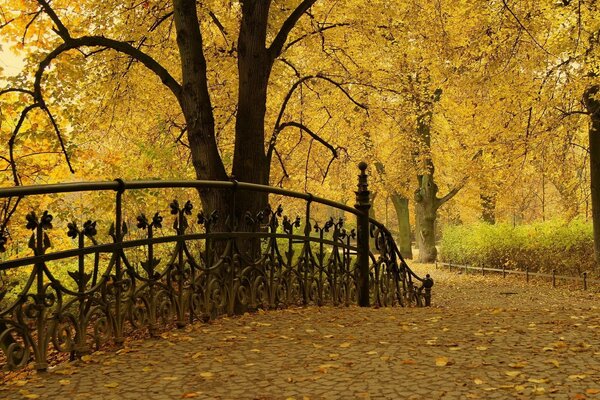 Golden autumn in the waltz of foliage