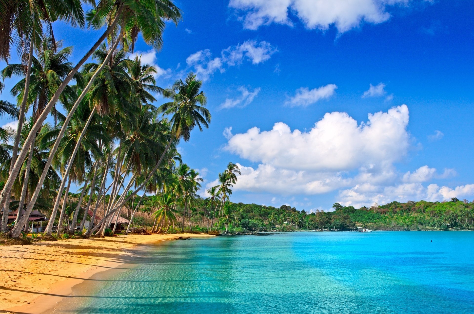 home clouds beach palm trees sand sea tropics nature the ocean resort the sky