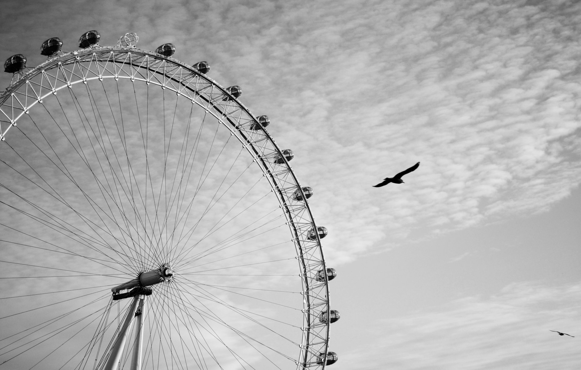 londres rueda de la fortuna london eye london eye pájaros volar cielo nubes