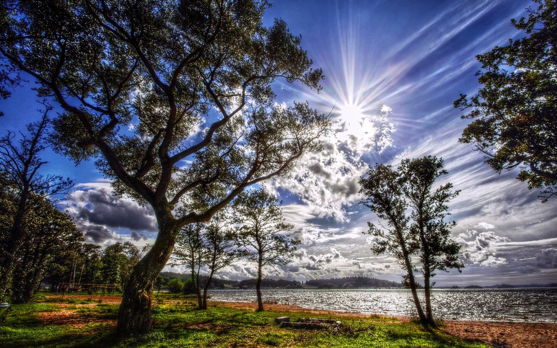 côte forêt plan d eau lac herbe collines arbres