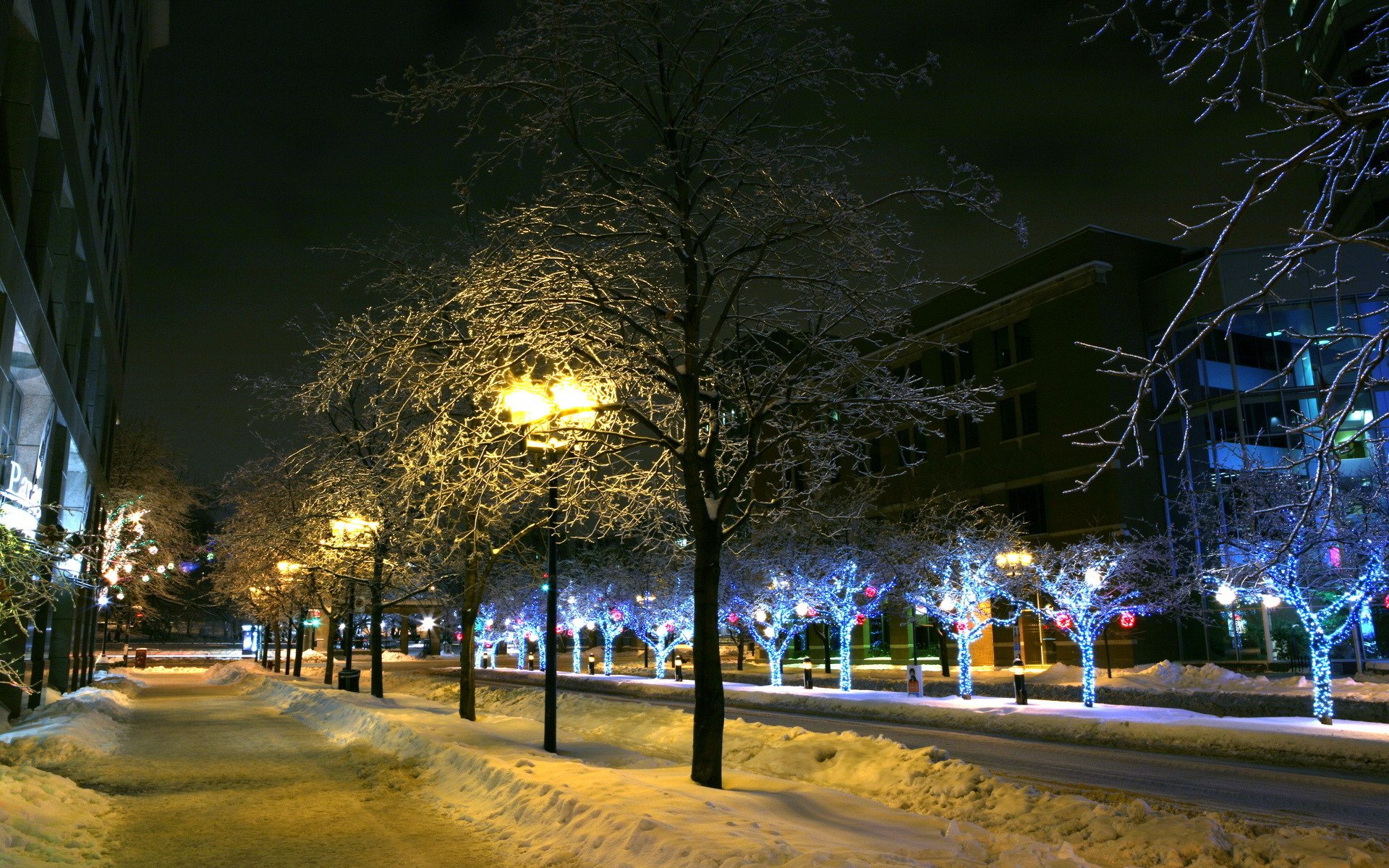 town winter lamps lights snow tree