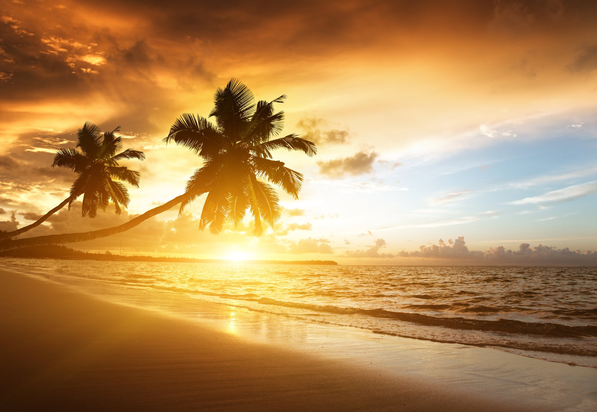 caribbean palm trees the ocean sunrise clouds sea sunlight