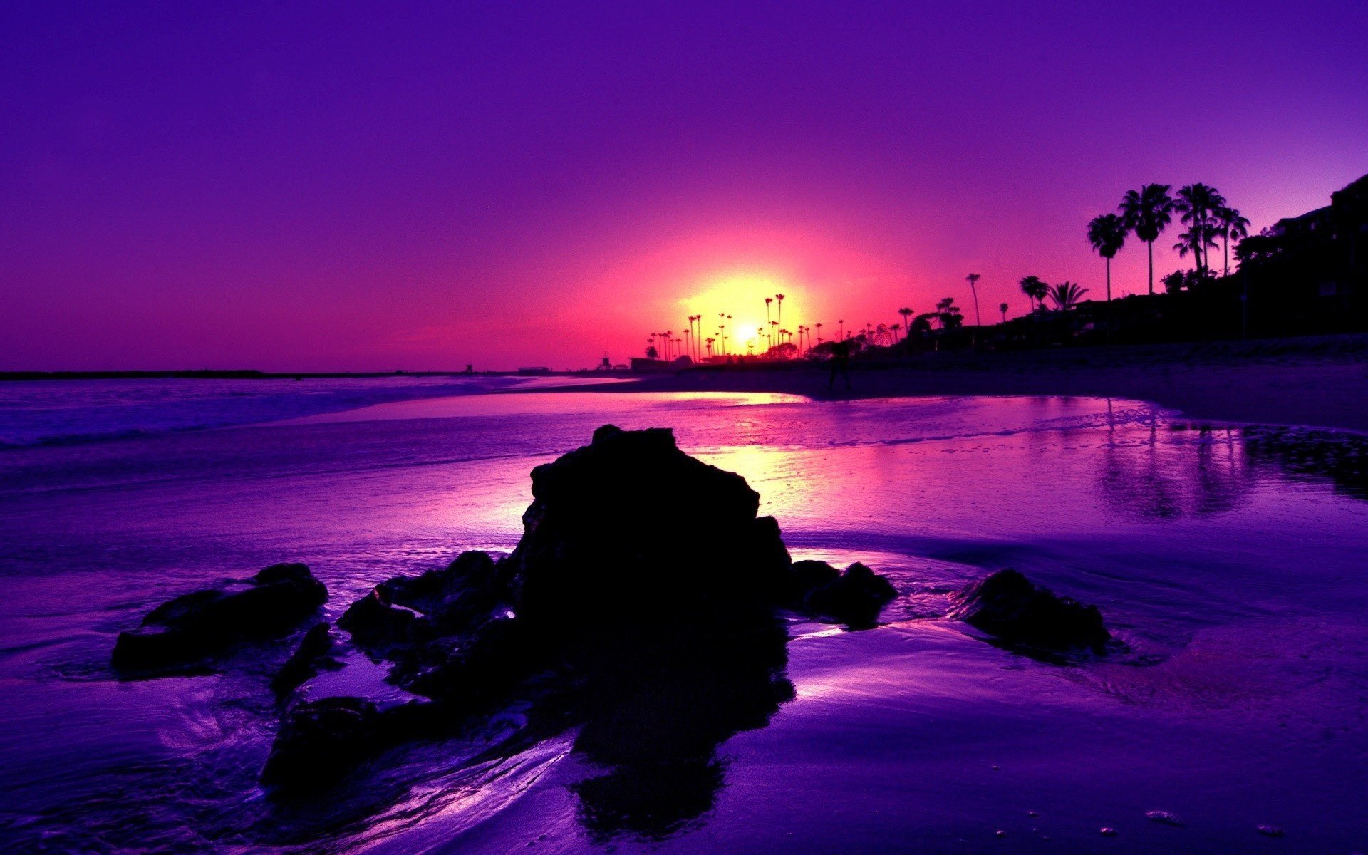 natur landschaft meer sonnenuntergang wellen palmen