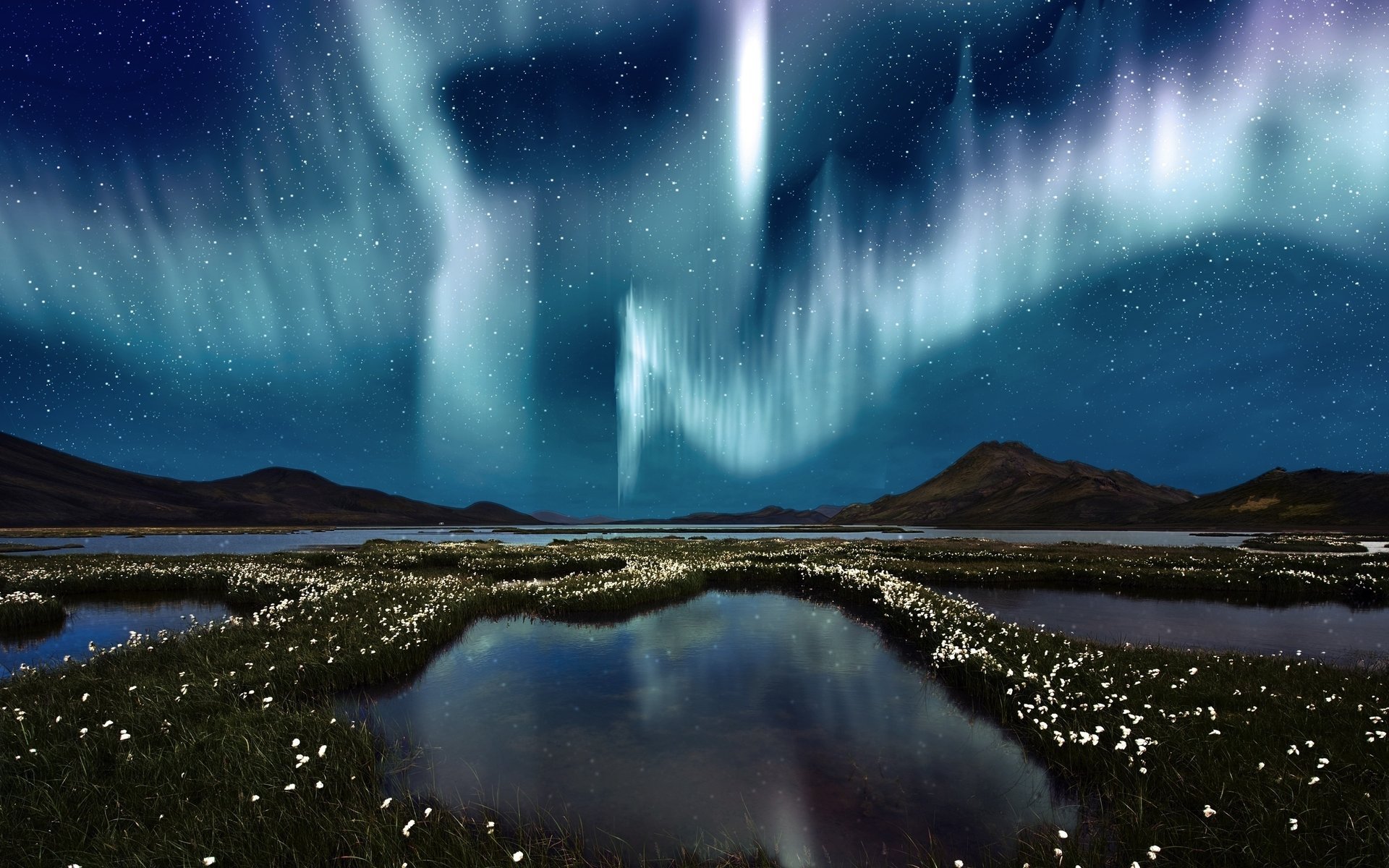 flores pantanos agua aurora boreal cielo estrellas