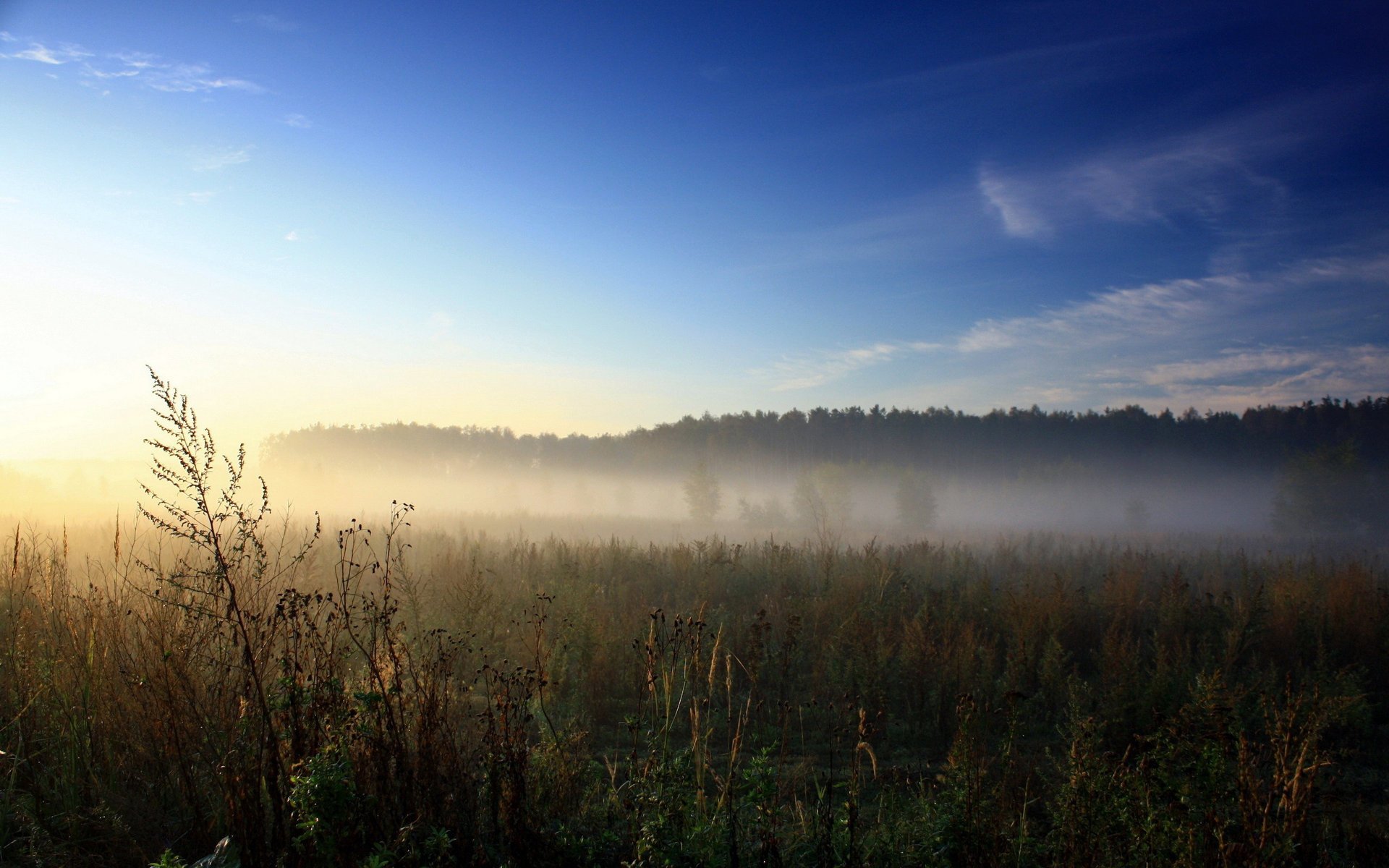 campo vegetazione pianura erba distanza verdi cielo