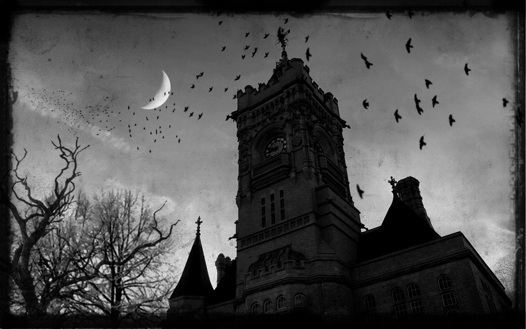 gothic castle raven night