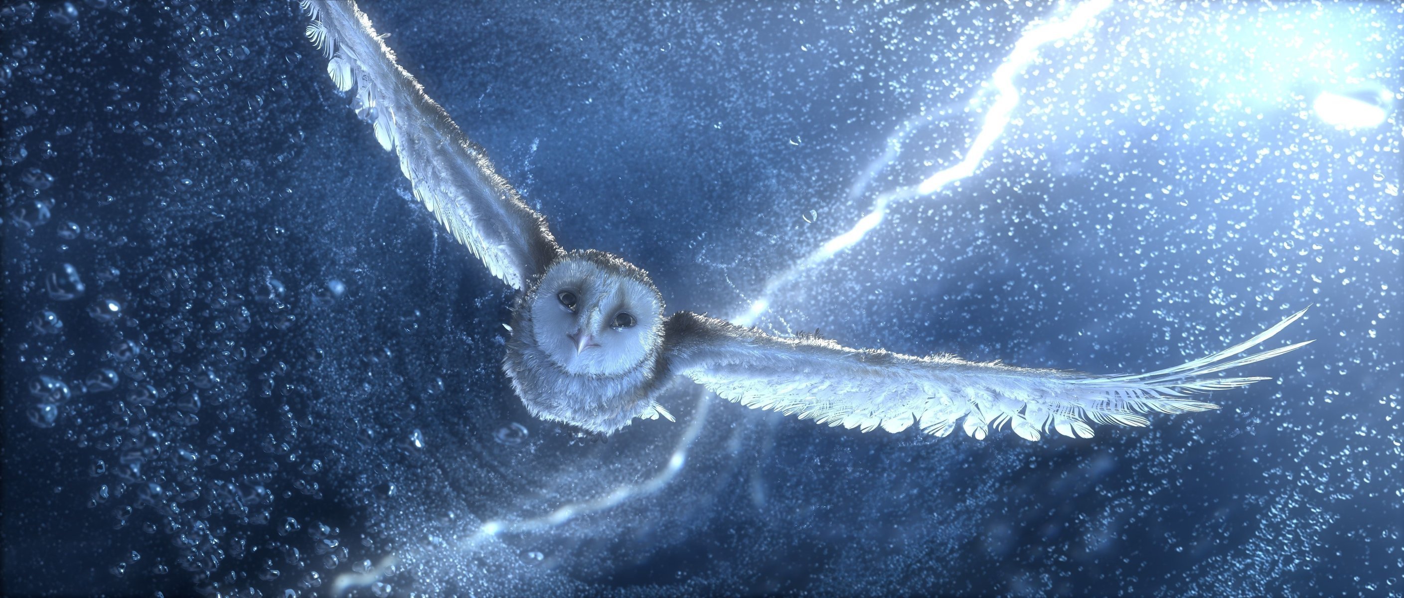 owl legend of the guardians the storm flight