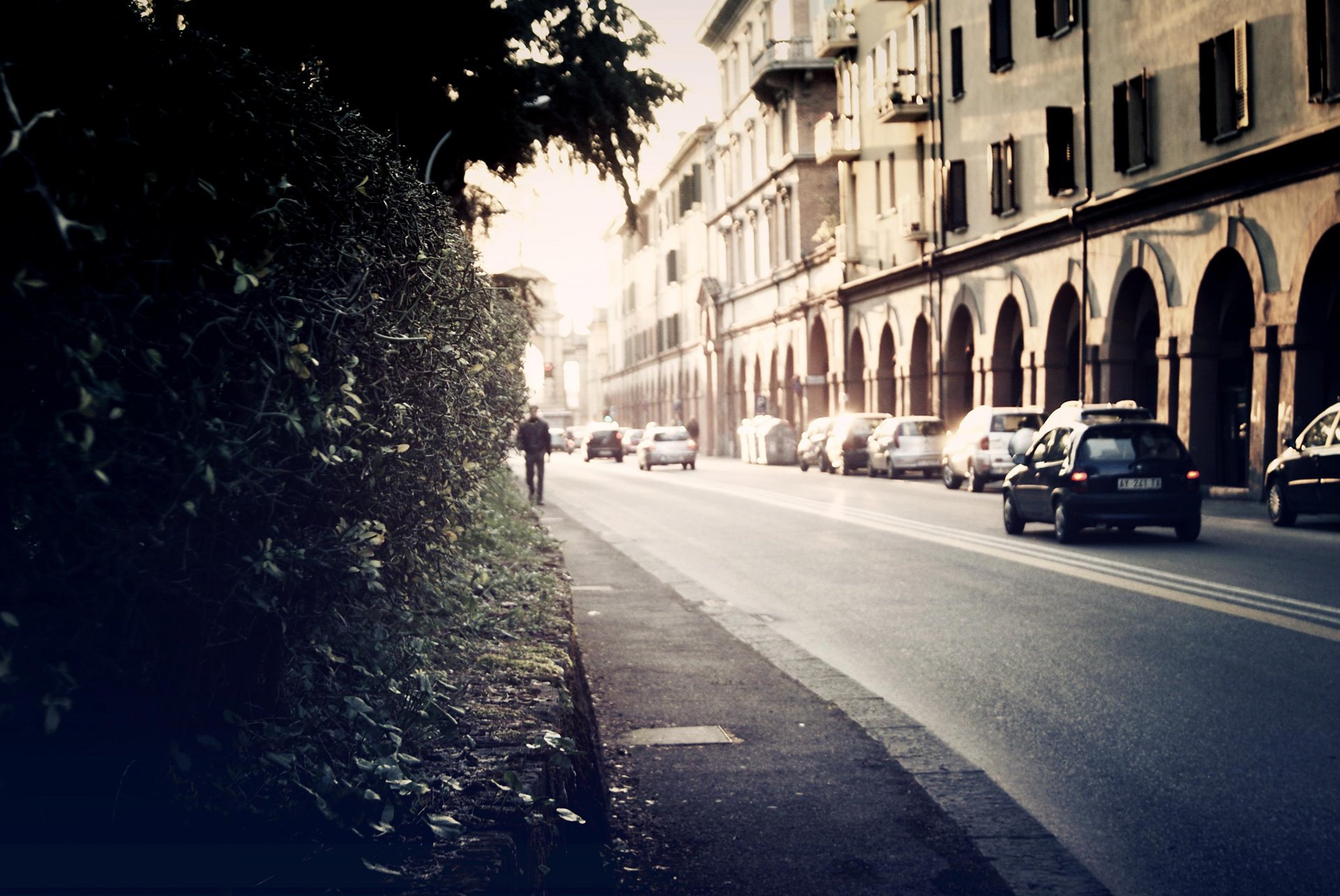 città strada marciapiede strada automobili case piante arbusti sfondo sfondi immagini