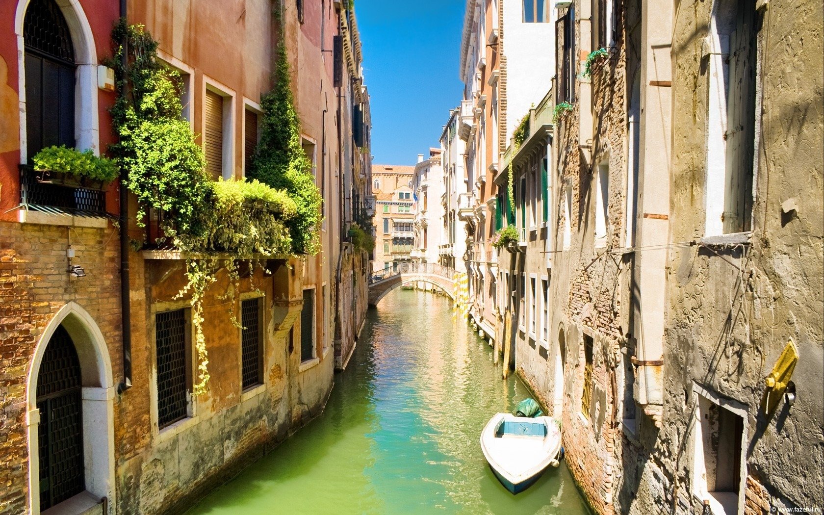 venecia canal barco puente casas