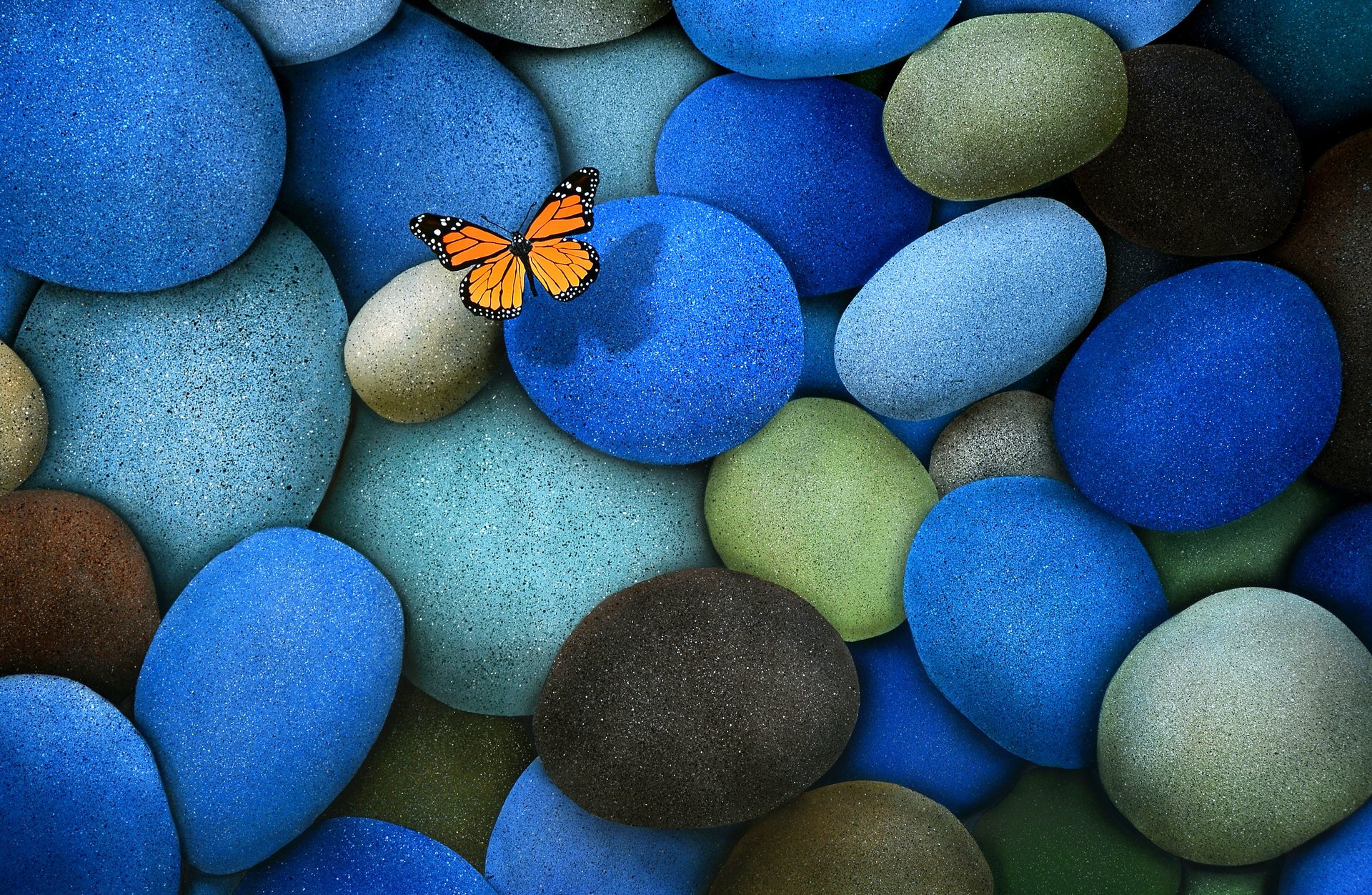 piedras marrón mariposa azul