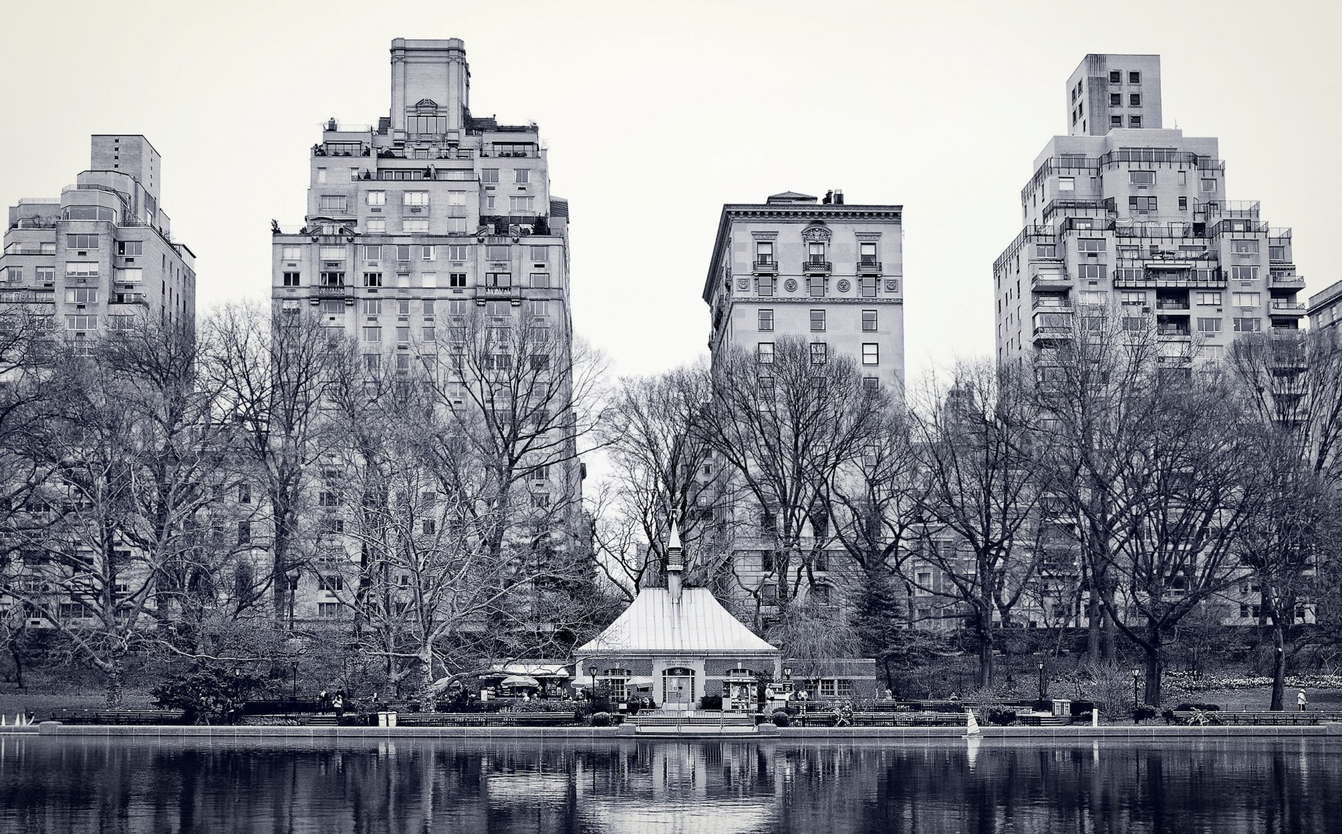 city new york central park lake trees buildings wallpaper