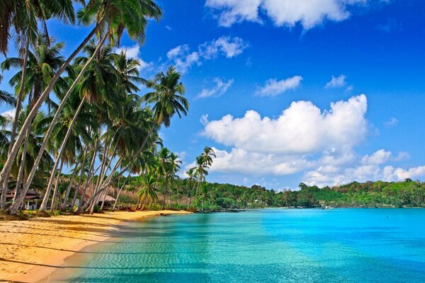 An uninhabited island with palm trees