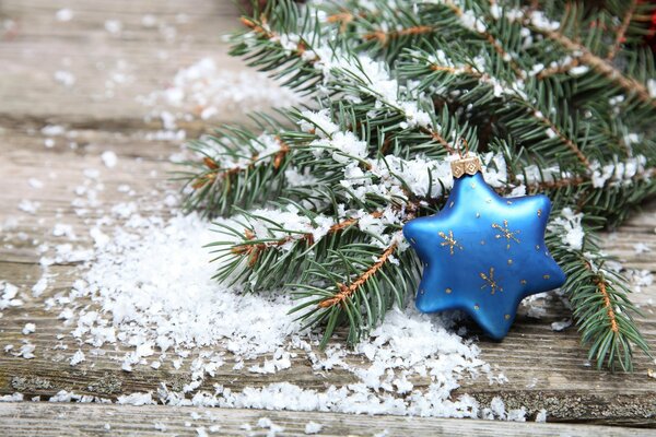 Blauer Stern auf einem schneebedeckten Zweig