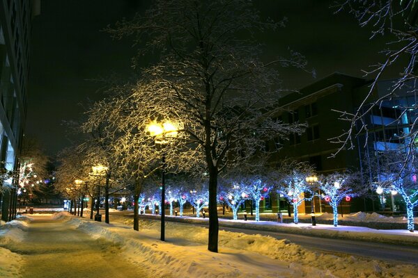 Noche brillan luces y linternas invierno nieve