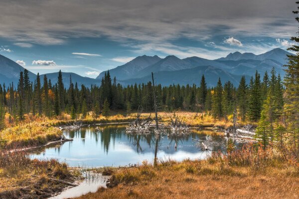 Bosques de montaña de otoño