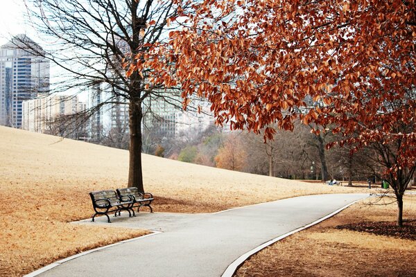 The autumn landscape is always very beautiful